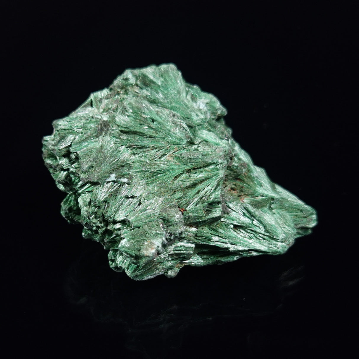 VELVET MALACHITE, Democratic Republic of Congo XVM030