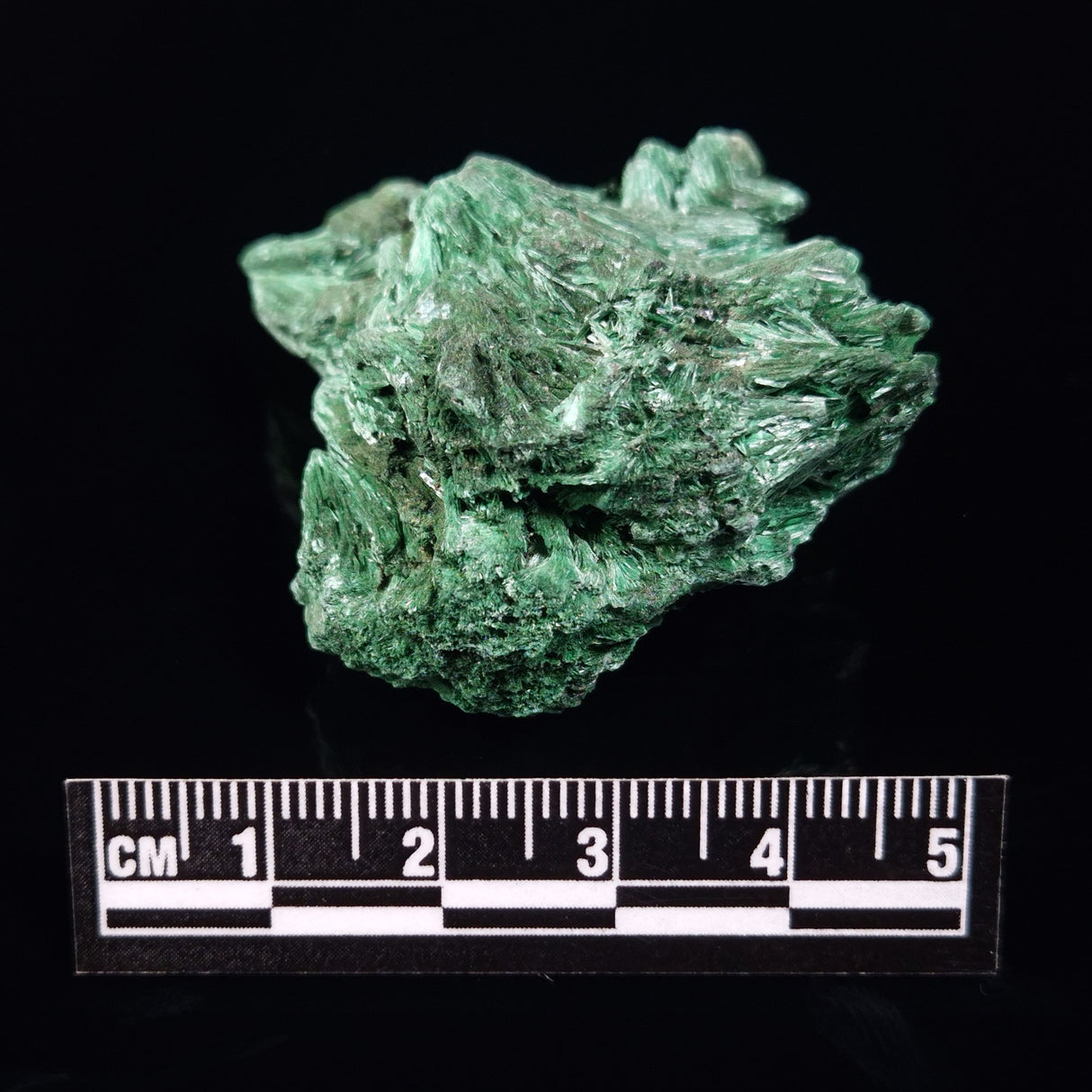 VELVET MALACHITE, Democratic Republic of Congo XVM030