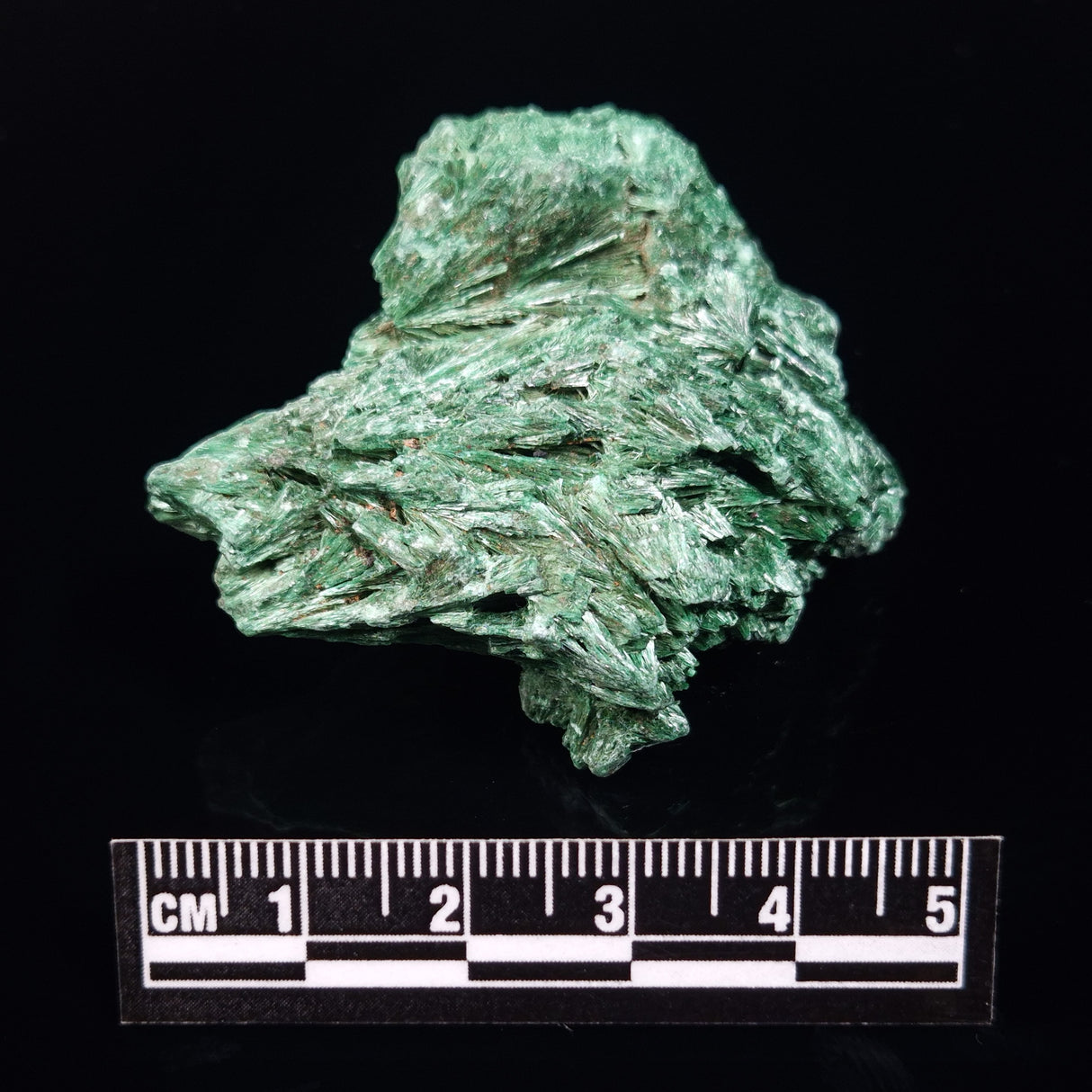 VELVET MALACHITE, Democratic Republic of Congo XVM030