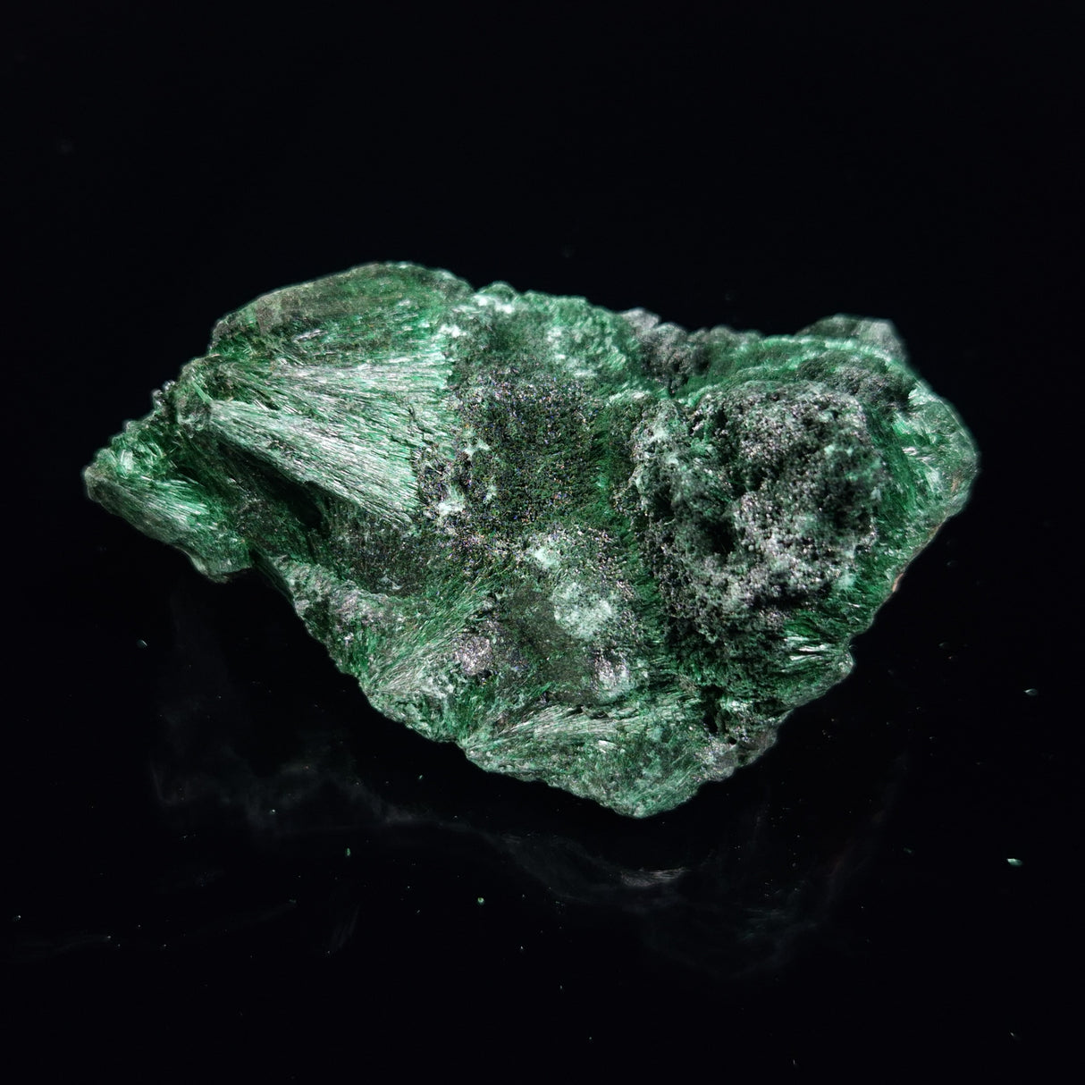 VELVET MALACHITE, Democratic Republic of Congo XVM031