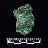 VELVET MALACHITE, Democratic Republic of Congo XVM031