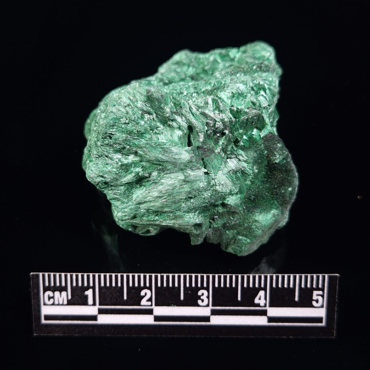 VELVET MALACHITE, Democratic Republic of Congo XVM032