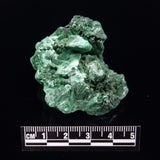 VELVET MALACHITE, Democratic Republic of Congo XVM032