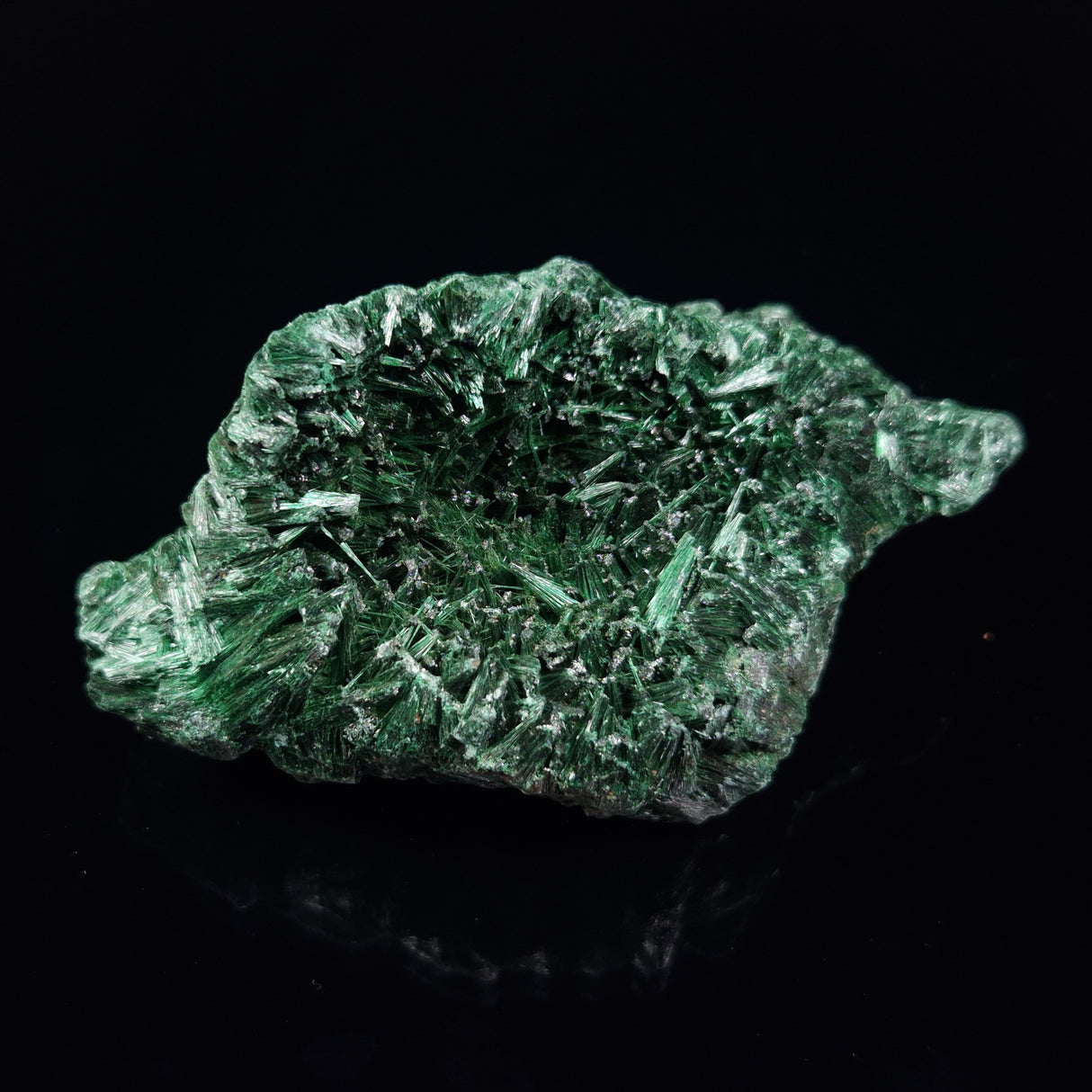 VELVET MALACHITE, Democratic Republic of Congo XVM033