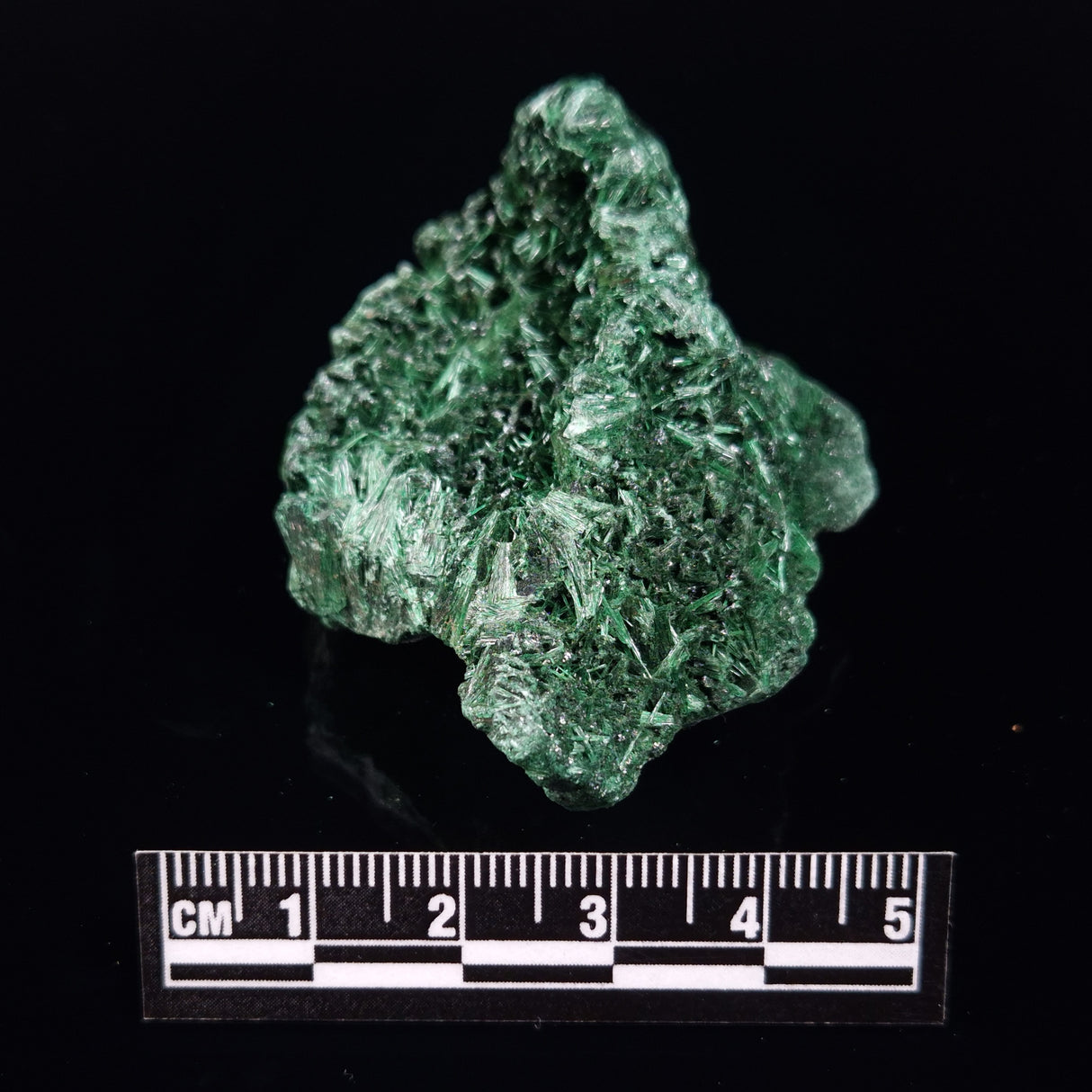 VELVET MALACHITE, Democratic Republic of Congo XVM033