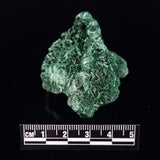 VELVET MALACHITE, Democratic Republic of Congo XVM033