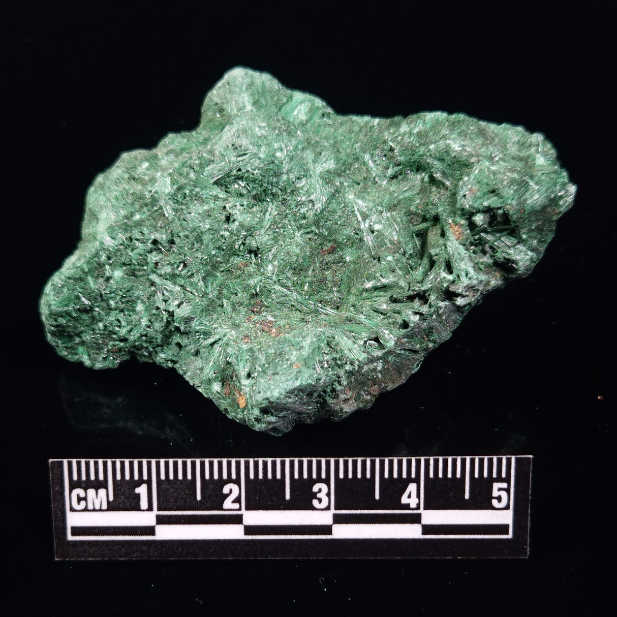VELVET MALACHITE, Democratic Republic of Congo XVM033