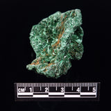 VELVET MALACHITE, Democratic Republic of Congo XVM034