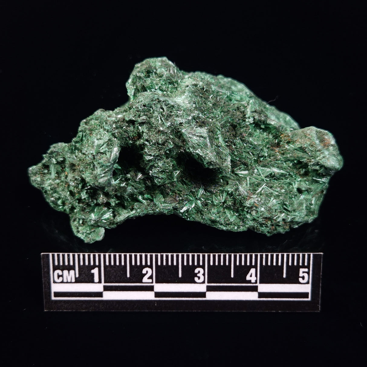 VELVET MALACHITE, Democratic Republic of Congo XVM034