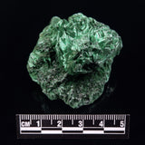 VELVET MALACHITE, Democratic Republic of Congo XVM035