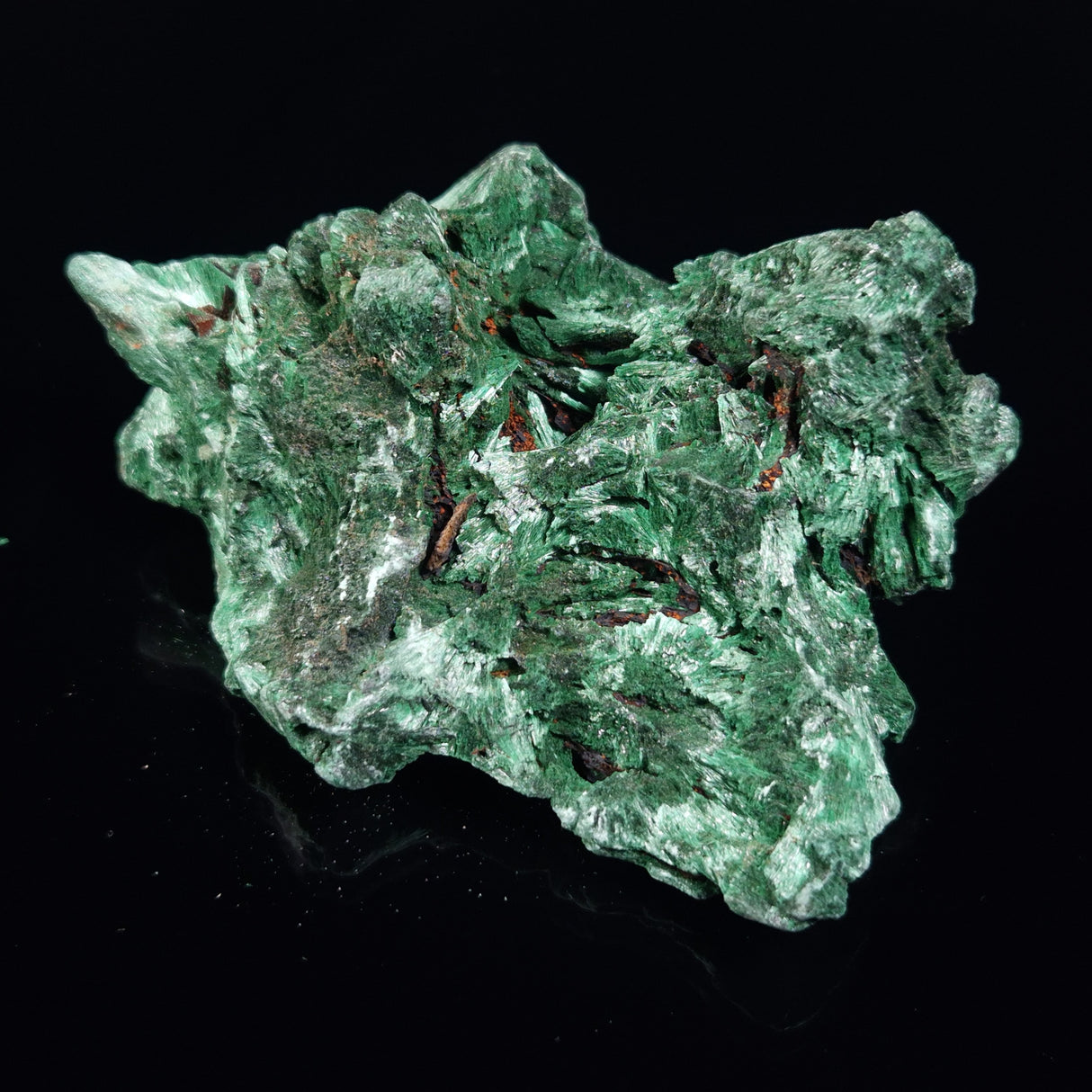 VELVET MALACHITE, Democratic Republic of Congo XVM036