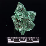 VELVET MALACHITE, Democratic Republic of Congo XVM036