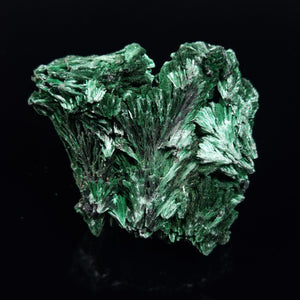 Velvet Malachite