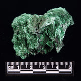 VELVET MALACHITE, Democratic Republic of Congo XVM037