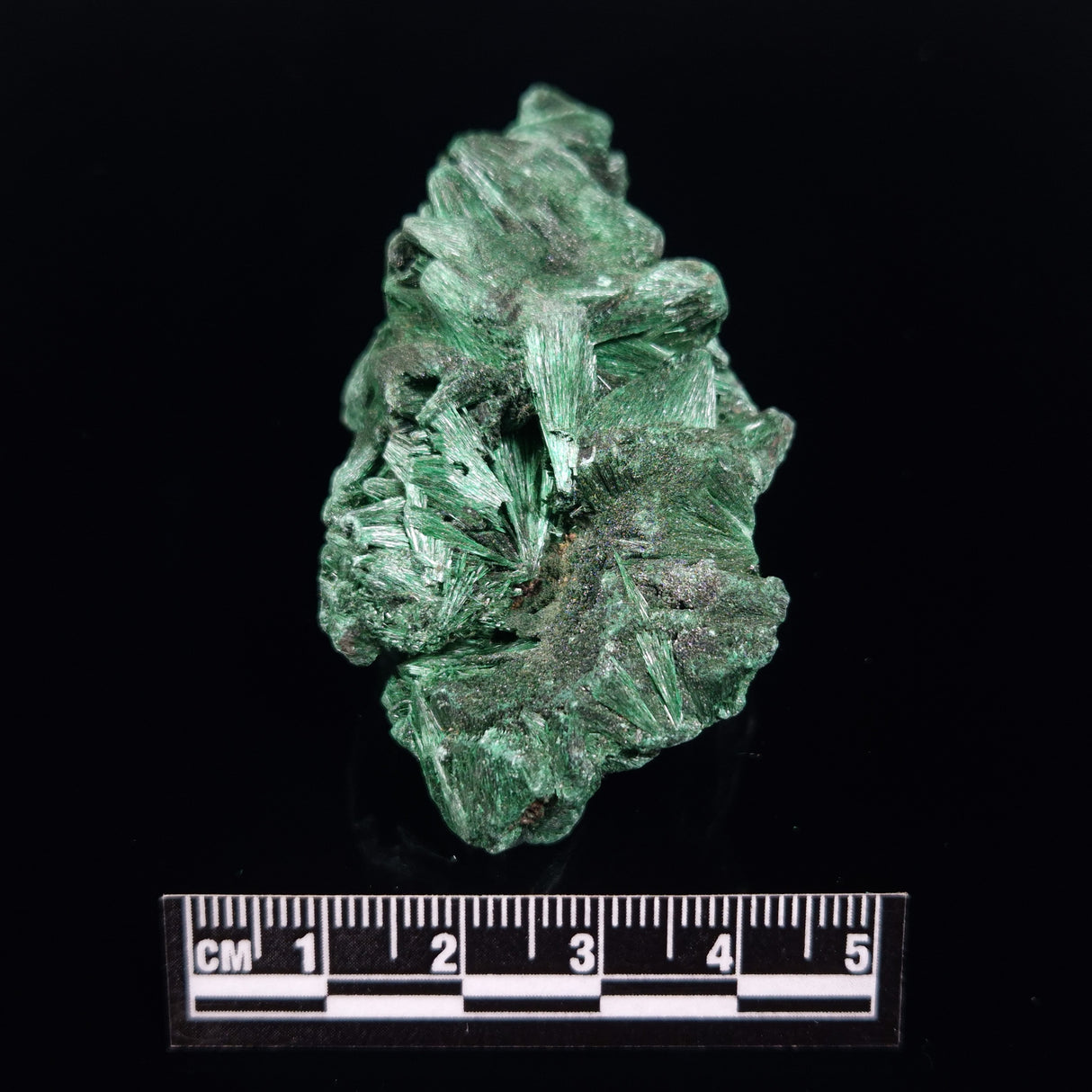VELVET MALACHITE, Democratic Republic of Congo XVM038