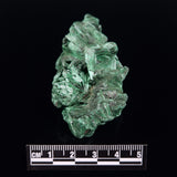 VELVET MALACHITE, Democratic Republic of Congo XVM038