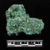 VELVET MALACHITE, Democratic Republic of Congo XVM040