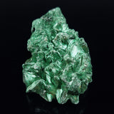VELVET MALACHITE, Democratic Republic of Congo XVM041
