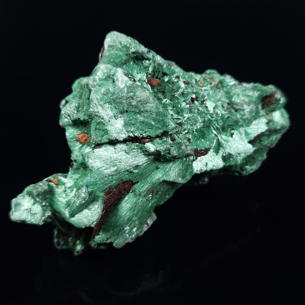 VELVET MALACHITE, Democratic Republic of Congo XVM042
