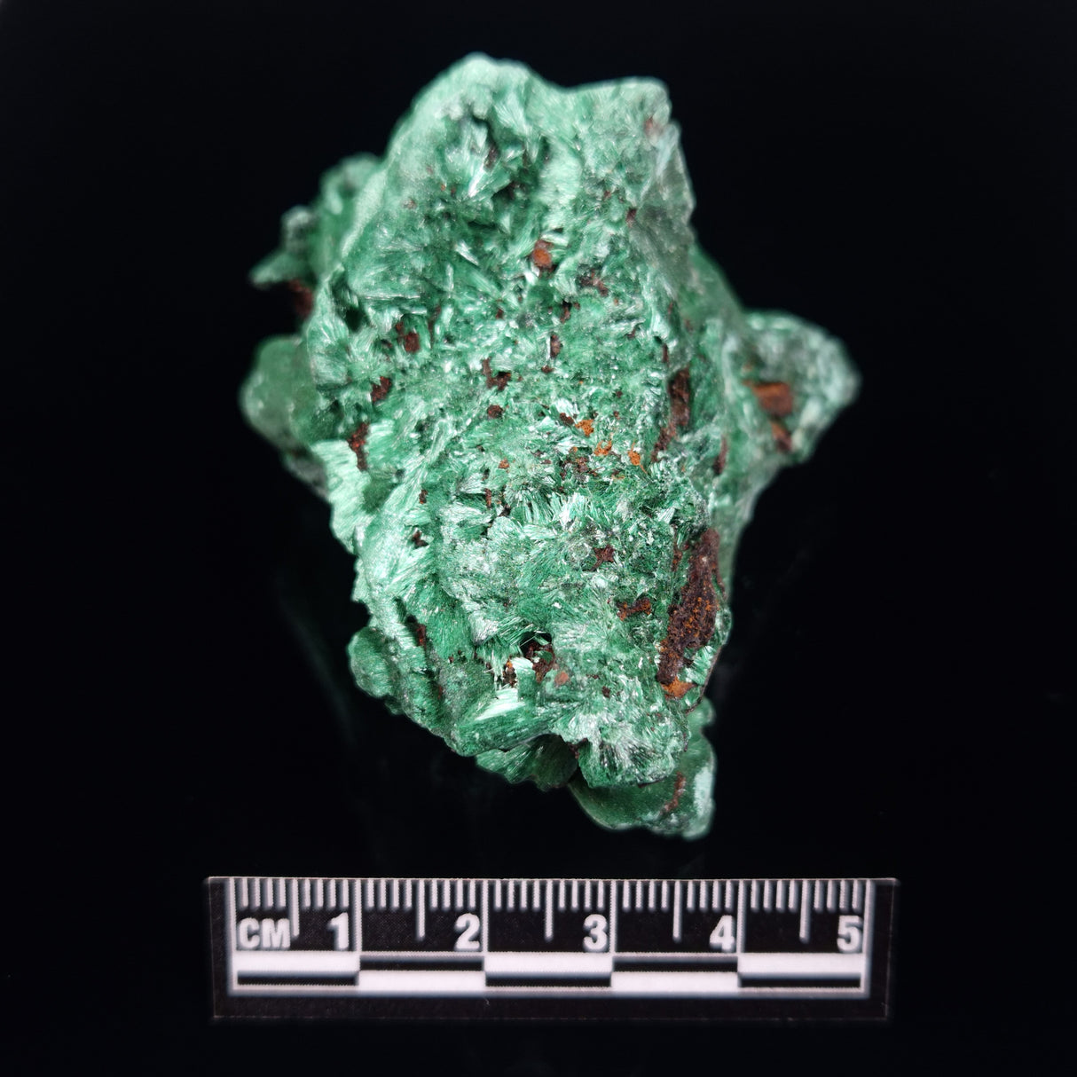 VELVET MALACHITE, Democratic Republic of Congo XVM042