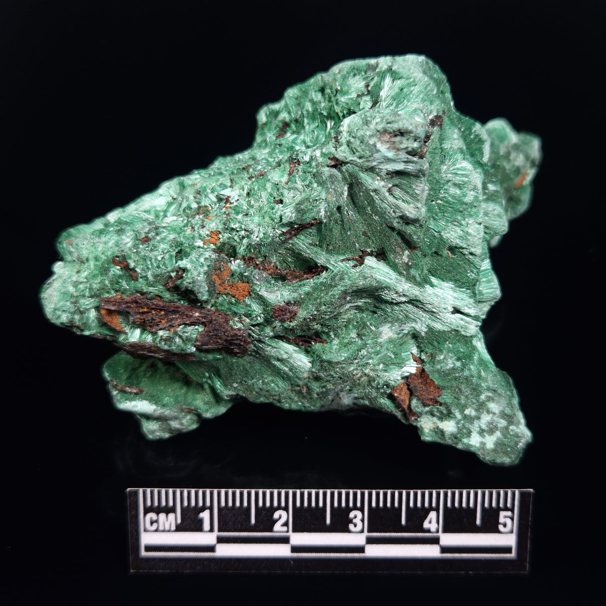 VELVET MALACHITE, Democratic Republic of Congo XVM042