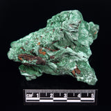 VELVET MALACHITE, Democratic Republic of Congo XVM042