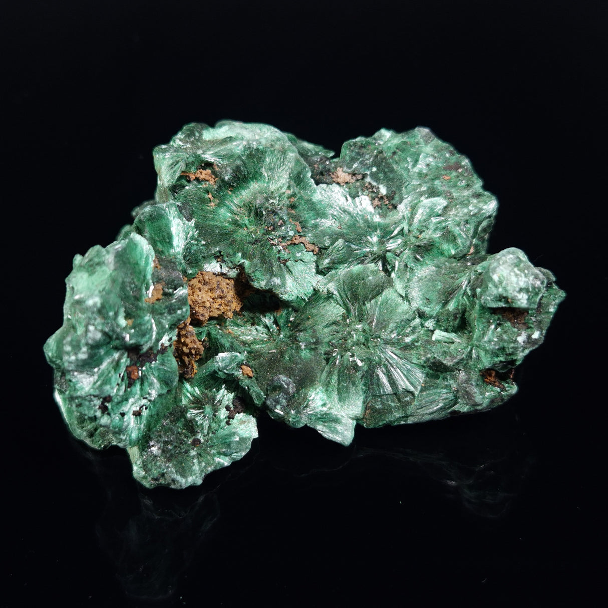 VELVET MALACHITE, Democratic Republic of Congo XVM043