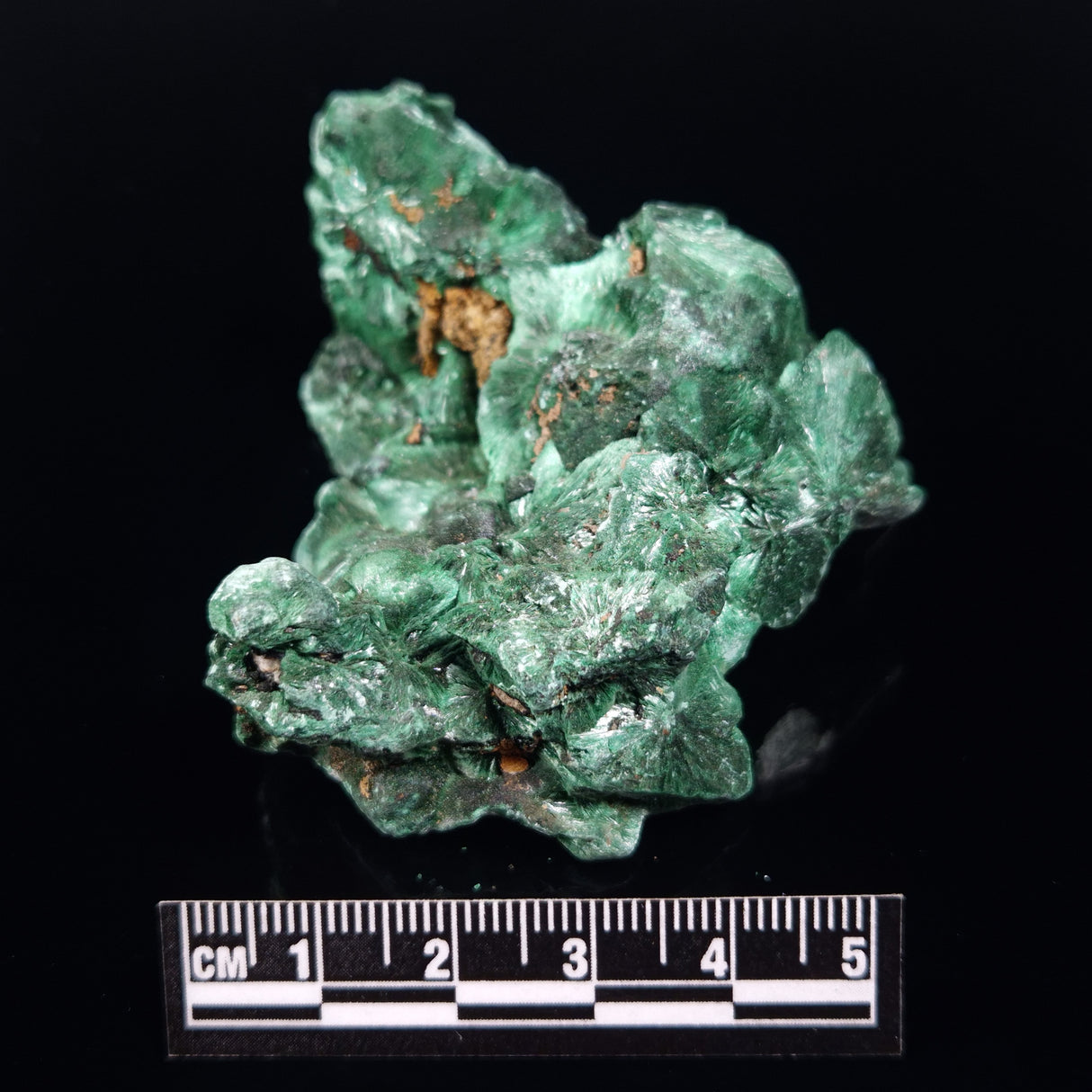 VELVET MALACHITE, Democratic Republic of Congo XVM043