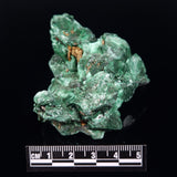 VELVET MALACHITE, Democratic Republic of Congo XVM043