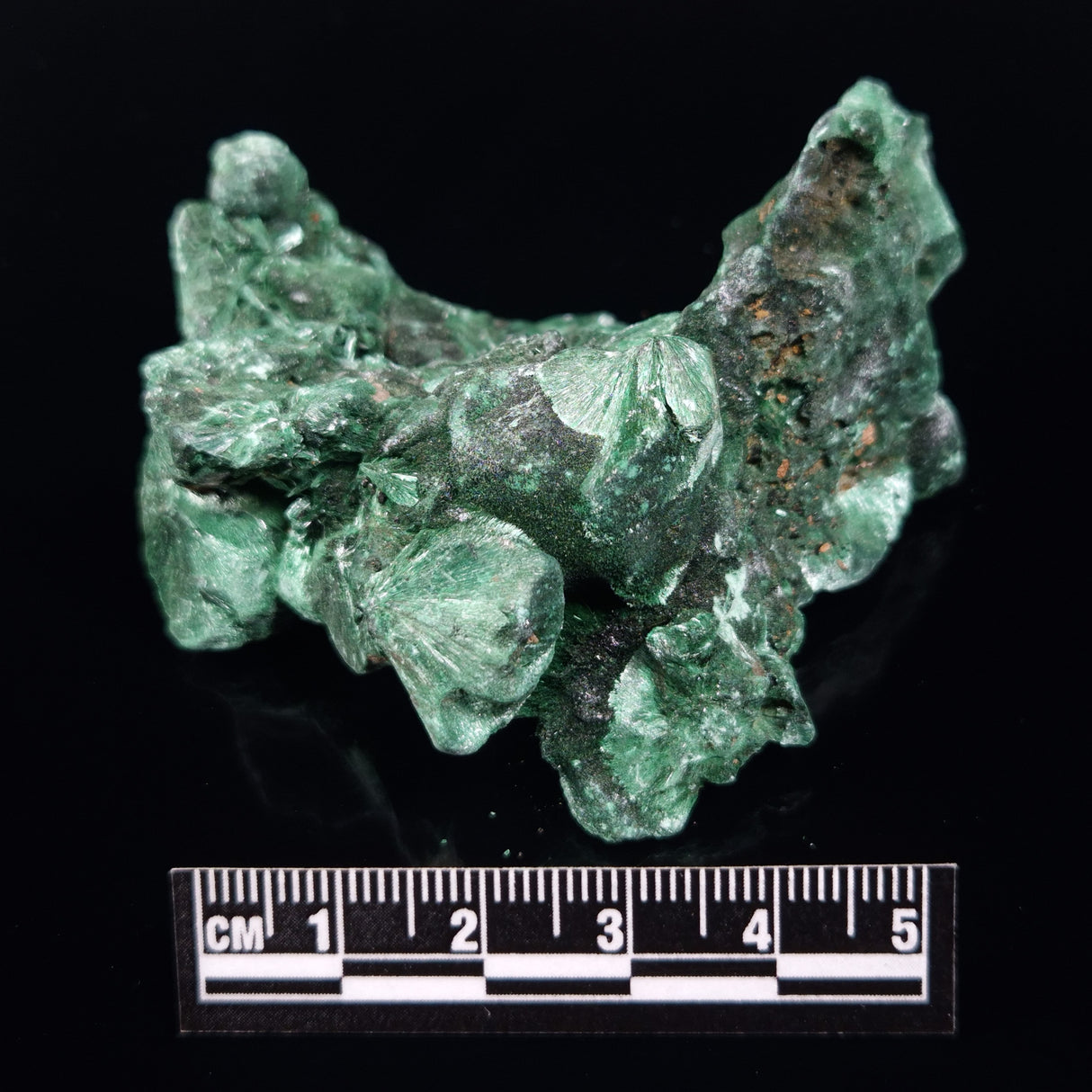 VELVET MALACHITE, Democratic Republic of Congo XVM043