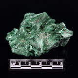 VELVET MALACHITE, Democratic Republic of Congo XVM044