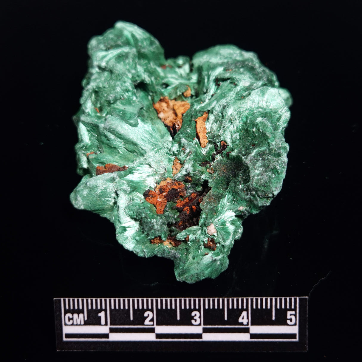 VELVET MALACHITE, Democratic Republic of Congo XVM045
