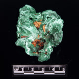 VELVET MALACHITE, Democratic Republic of Congo XVM045