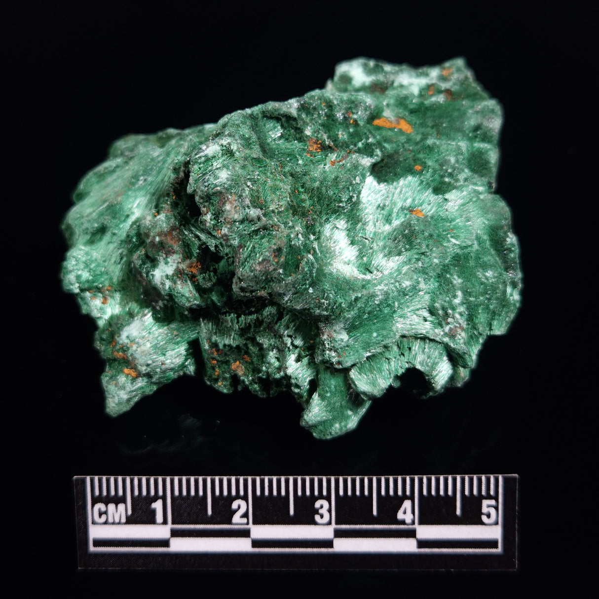 VELVET MALACHITE, Democratic Republic of Congo XVM046
