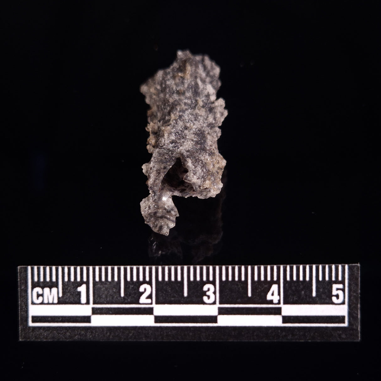 FULGURITE LIGHTNING GLASS, Queensland, Australia XFA001