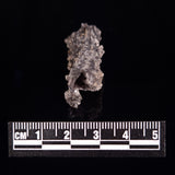 FULGURITE LIGHTNING GLASS, Queensland, Australia XFA001