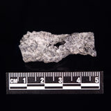 FULGURITE LIGHTNING GLASS, Queensland, Australia XFA002