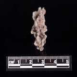 FULGURITE LIGHTNING GLASS, Queensland, Australia XFA003