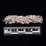 FULGURITE LIGHTNING GLASS, Queensland, Australia XFA004
