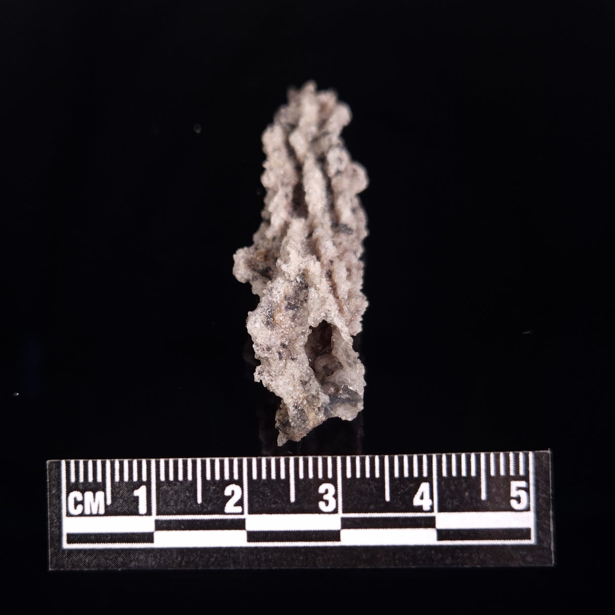 FULGURITE LIGHTNING GLASS, Queensland, Australia XFA004