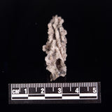 FULGURITE LIGHTNING GLASS, Queensland, Australia XFA004