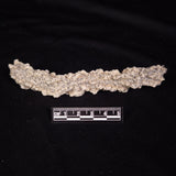 FULGURITE LIGHTNING GLASS, Queensland, Australia XFA005