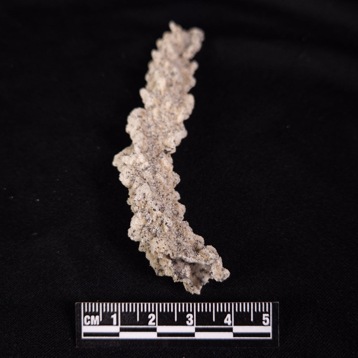 FULGURITE LIGHTNING GLASS, Queensland, Australia XFA005