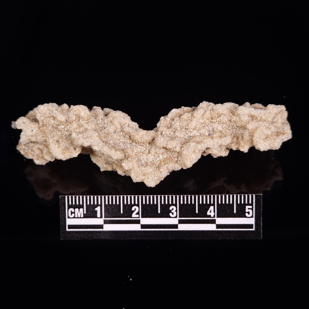 FULGURITE LIGHTNING GLASS, Queensland, Australia XFA006