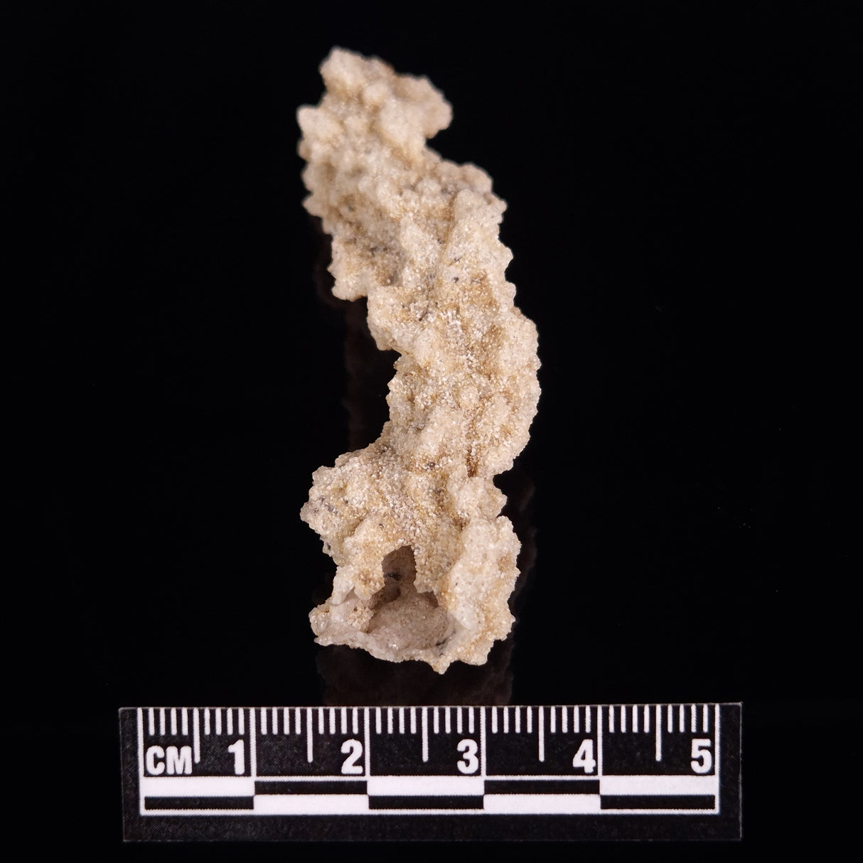 FULGURITE LIGHTNING GLASS, Queensland, Australia XFA006