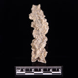 FULGURITE LIGHTNING GLASS, Queensland, Australia XFA007