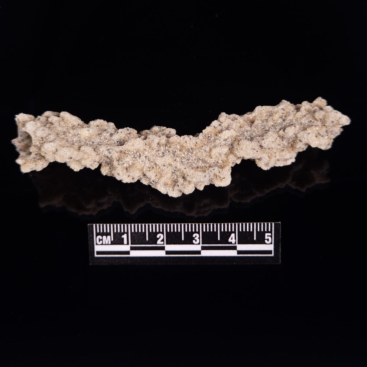 FULGURITE LIGHTNING GLASS, Queensland, Australia XFA007