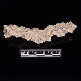 FULGURITE LIGHTNING GLASS, Queensland, Australia XFA007