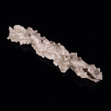 FULGURITE LIGHTNING GLASS, Queensland, Australia XFA008
