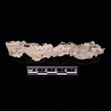 FULGURITE LIGHTNING GLASS, Queensland, Australia XFA008
